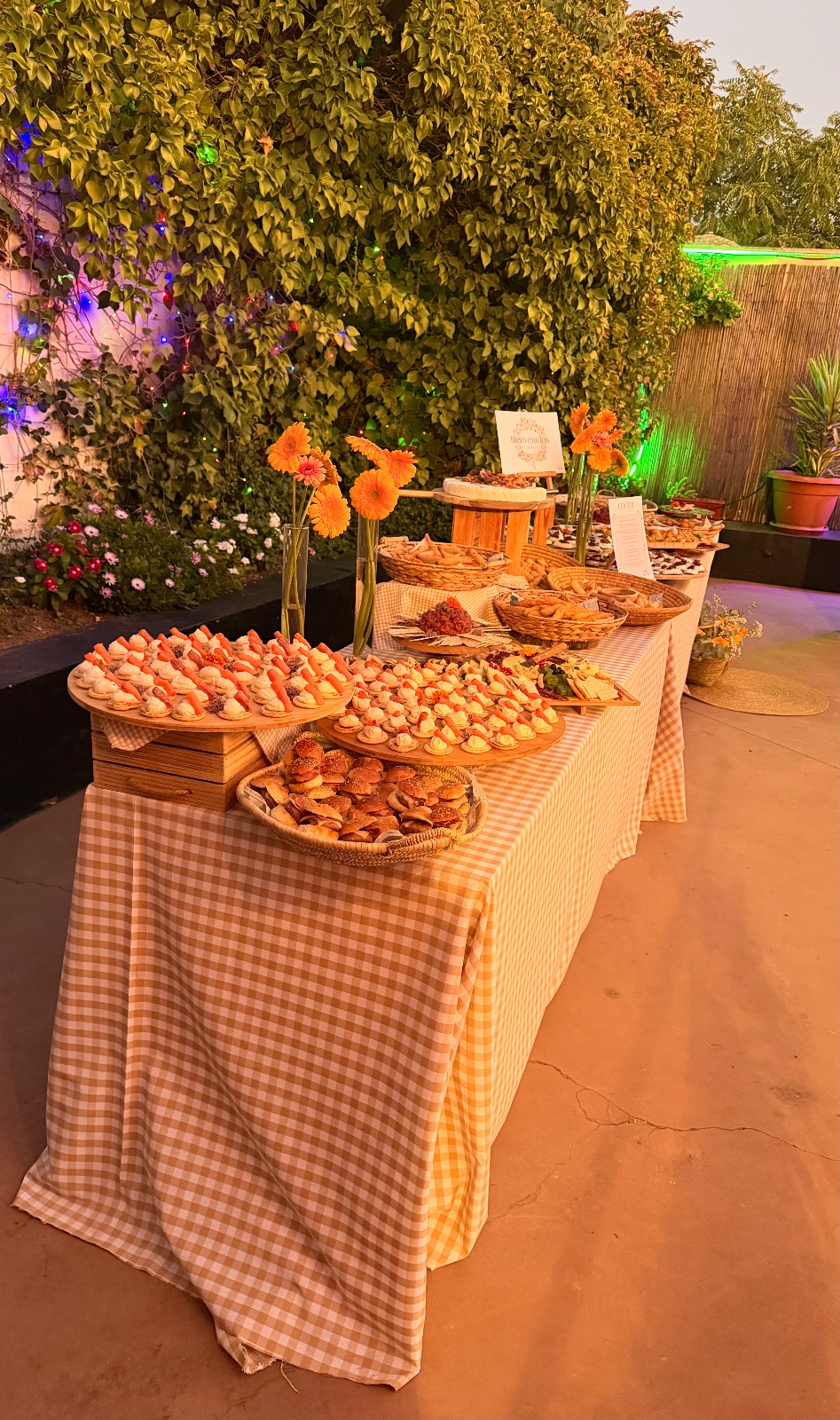 Daniela catering